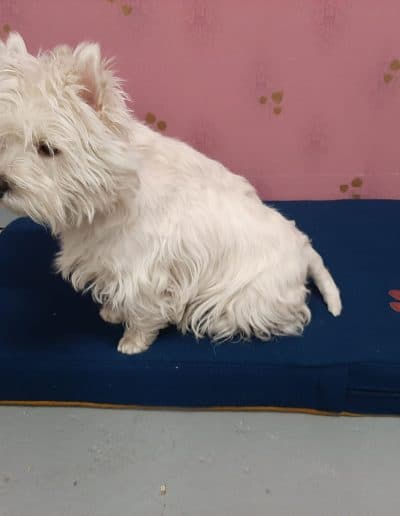 fd7c7136-c316-4280-ae90-7b195c94f4f6